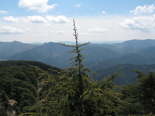 Chrea National Park (الحديقة الوطنية الشريعة)